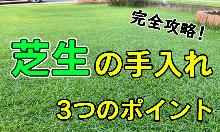 芝生の手入れで重要なポイント3選 さらに すると緑豊かな芝生に Okamaru Blog