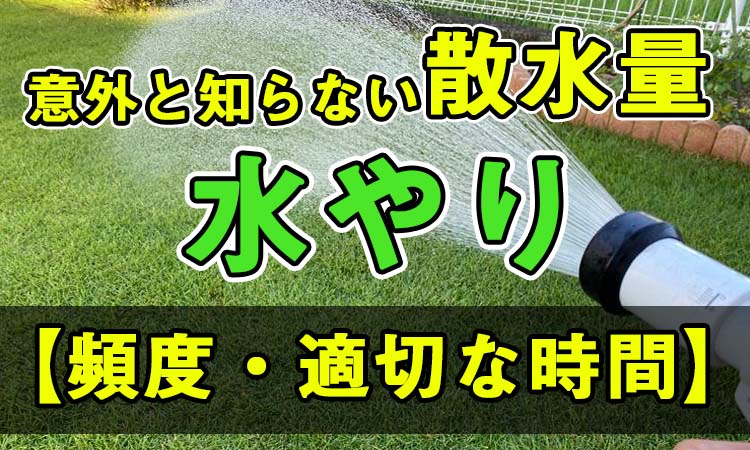 芝生 正しい水やりの知識 頻度 適切な時間 意外と知らない散水量 Okamaru Blog