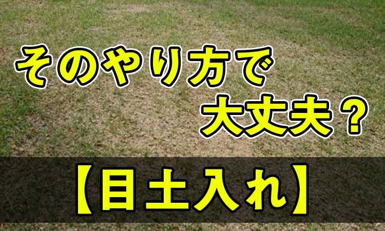 芝生 目土をする最適な時期は 入れ方を間違えると大変なことに Okamaru Blog
